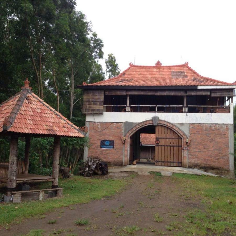 Vh Surf Camp Apartamento Pacitan Exterior foto
